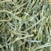 Oxbow Animal Health Alfalfa Hay - All Natural Hay for Young, Pregnant, or Nursing Small Pets - 40 oz. (Pack of 2) - Image 3