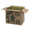 Alfalfa Hay - Image 3