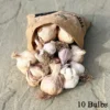 Wonky Wight Rustic Garlic: 10-Bulbs - Image 3