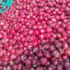 50 kg Red Fresh Onion - Image 2