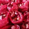 Fresh Red Onion, Gunny Bag, Onion Size Available: Medium - Image 2