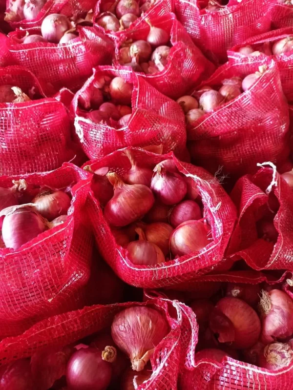 Fresh Red Onion, Gunny Bag, Onion Size Available: Medium