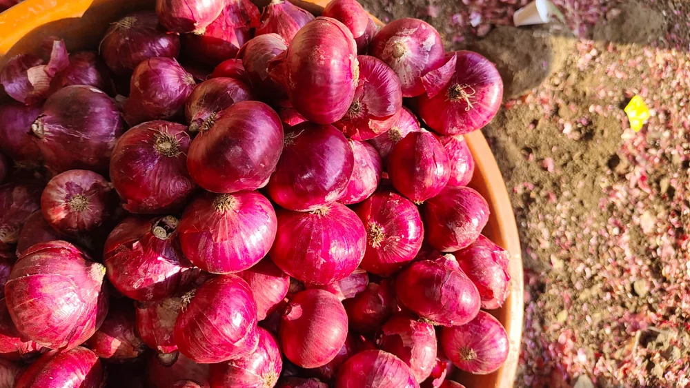 Fresh Red Onion, A Grade