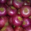 50 kg Red Fresh Onion - Image 4